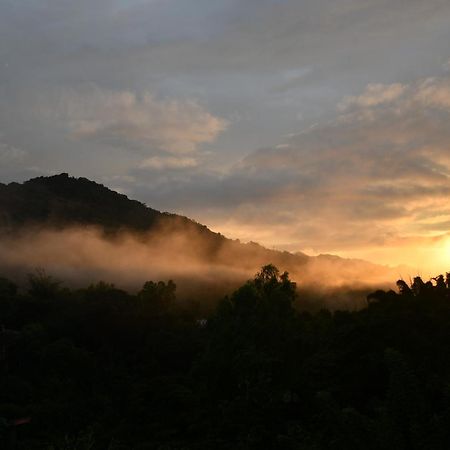 Minca Seasons Birds Hostel Bagian luar foto